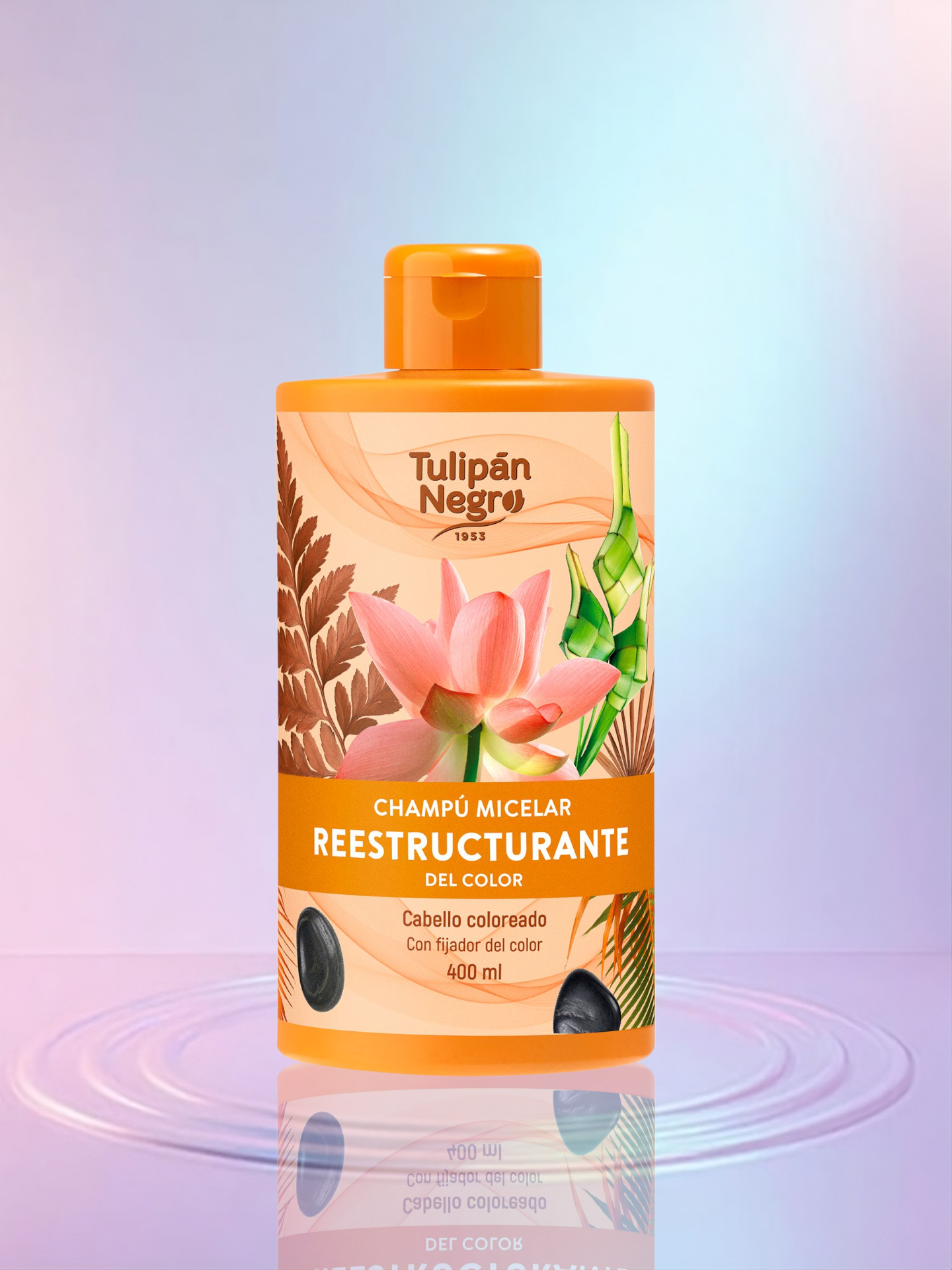 Champú Micelar Reestructurante de Tulipán Negro
